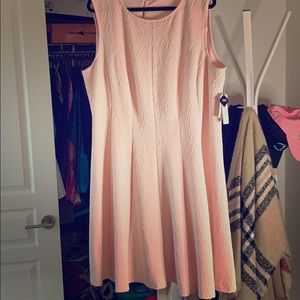 Beautiful pale pink dress! Plus size